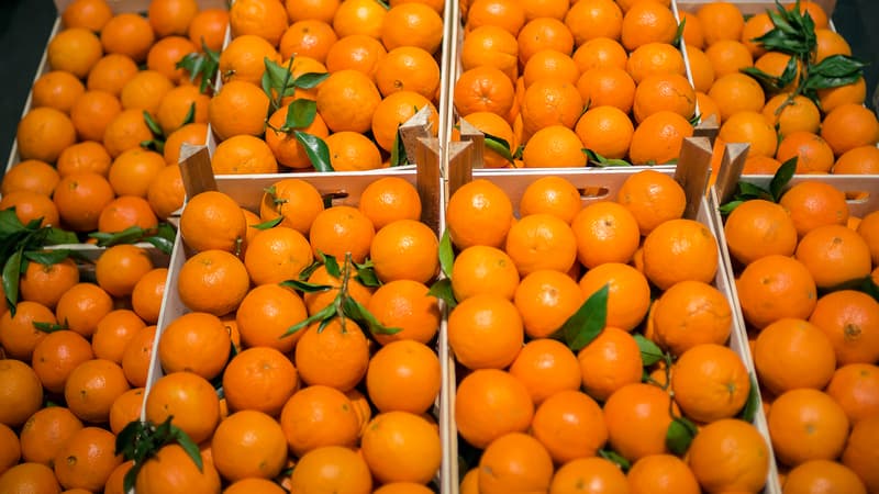 Les cours du jus d'orange ont gagné 40% en un peu plus d'un mois et demi.