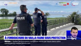 Saint-Laurent-du-Var: protéger les espèces sauvages à l'embouchure du Var