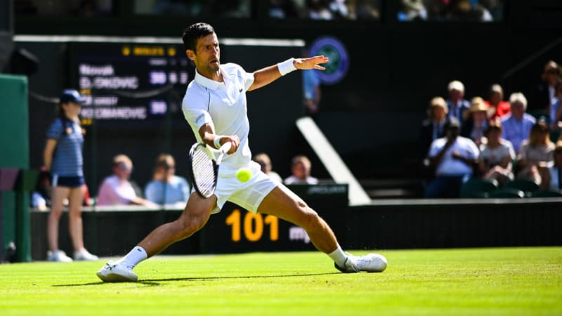 N. Djokovic