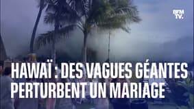 À Hawaï, des vagues géantes déferlent sur une réception de mariage