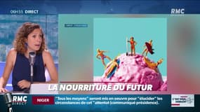 La chronique de Nina Godart : La nourriture du futur - 10/08
