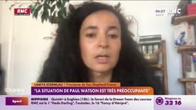 Arrestation de Paul Watson : la présidente de Sea Shepherd France donne de ses nouvelles