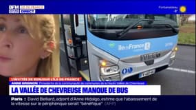 Yvelines: la Vallée de Chevreuse manque de bus