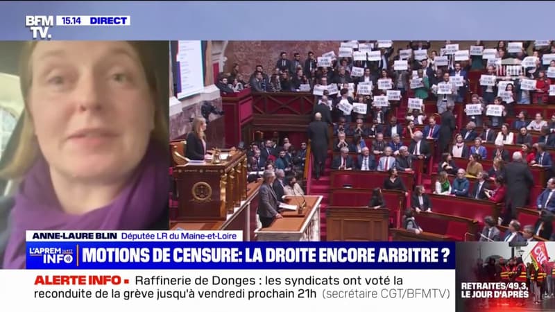 Anne-Laure Blin (LR) sur le vote des motions de censure: 