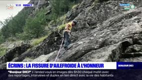 Écrins: la fissure d'Ailefroide à l'honneur