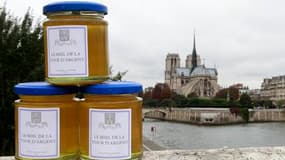 Quelque 240.000 abeilles ont produit cet été 200 kg de miel sur le toit du restaurant La Tour d'Argent, dernier haut lieu prestigieux en date à accueillir des ruches au coeur de Paris. /Photo prise le 24 septembre 2010/ REUTERS/Jacky Naegelen