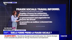 Quelles formes prend la fraude sociale?