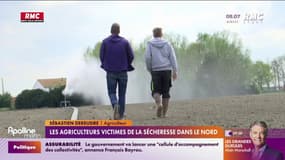 Les agriculteurs victimes de la sécheresse dans le nord 
