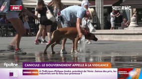 Canicule : le gouvernement appelle à la vigilance 