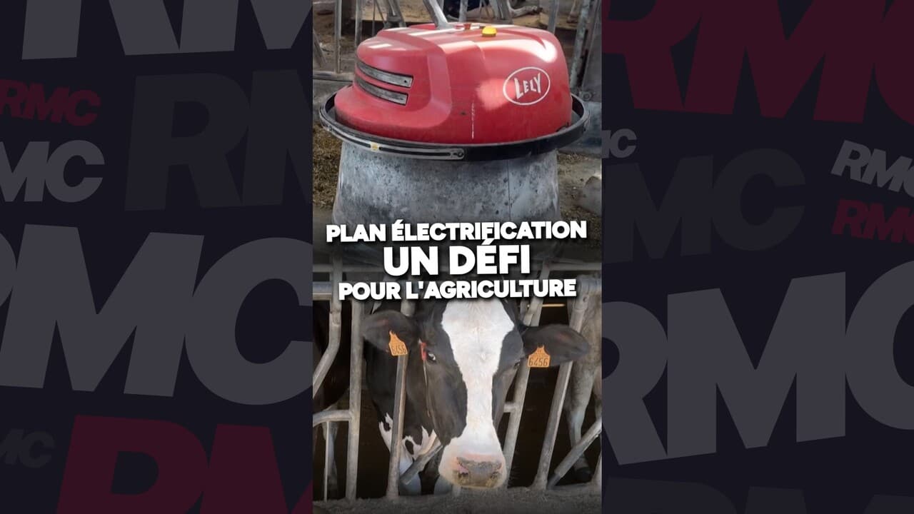 Plan d’électrification: des objectifs difficiles à atteindre pour les agriculteurs