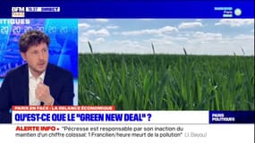 Régionales IDF: Julien Bayou (EELV) explique son projet de "Green New Deal"