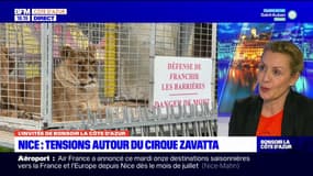 Cirque Zavatta à Nice: pour One Voice, les spectacles avec "exploitation des animaux" doivent cesser