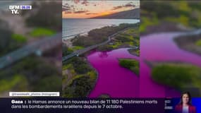 Hawaï: un étang vire au rose fluo 