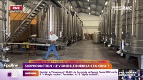 Surproduction: le vignoble bordelais en crise? 