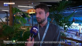 BFM Littoral dans les coulisses de la nouvelle exposition de Nausicaa : Un espace totalement repensé pour les visiteurs