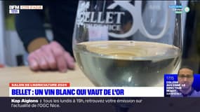 Salon de l'agriculture: un vin blanc azuréen médaillé d'or