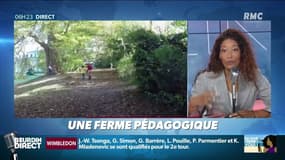 J'ai testé pour vous : la ferme pédagogique