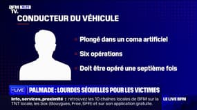 Accident impliquant Pierre Palmade: lourdes séquelles pour les victimes