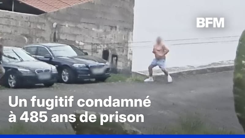 Un fugitif polonais, condamné à 485 ans prison, arrêté alors qu'il promenait son chien