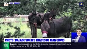 Crots: une balade littéraire sur les traces de Jean Giono 