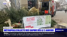 Métropole de Lyon: la collecte des sapins débute le 3 janvier
