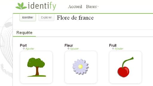 Le site de PlantNet permet déjà, à partir de photos, d'identifier des plantes de la flore française.