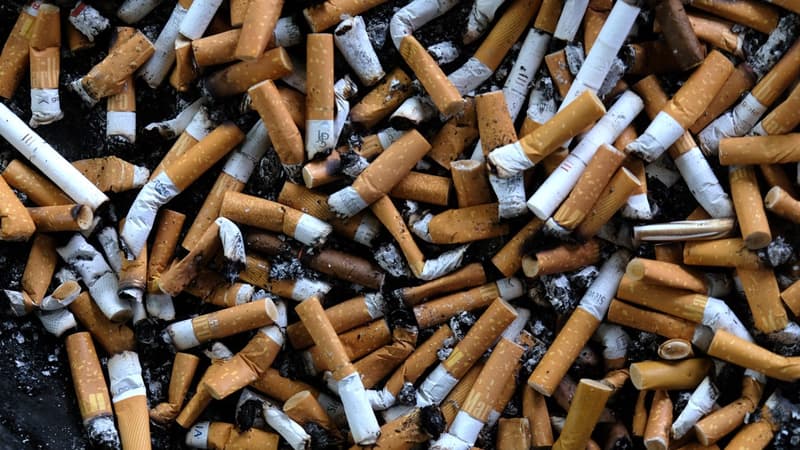 Des mégots de cigarette (photo d'illustration)