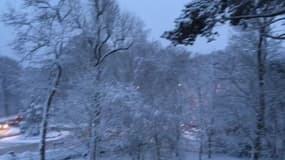Les arbres recouverts de neige à Sèvres en Île-de-France - Témoins BFMTV