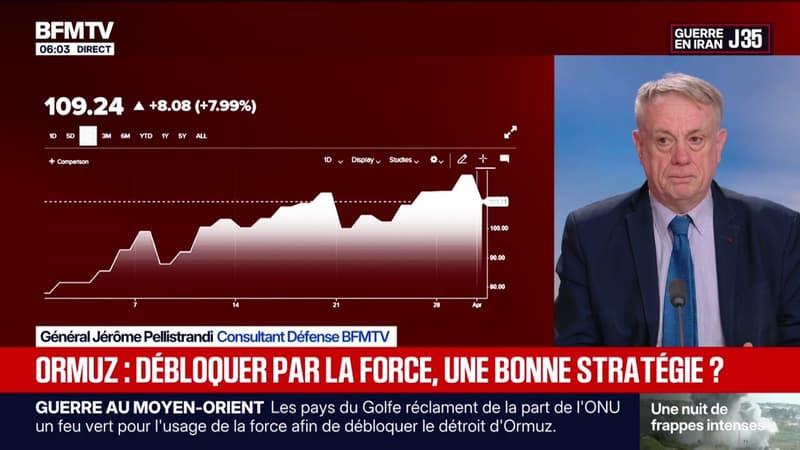 Guerre au Moyen-Orient: débloquer le détroit d'Ormuz par la force, une stratégie complexe