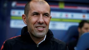 Jardim