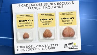 La campagne polémique des Jeunes écologistes franciliens a été retirée quelques heures après sa publication.