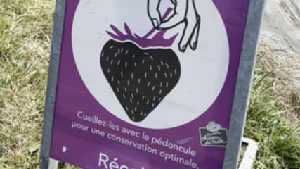 Devant les parcelles, des panneaux donnent des conseils sur la manière de cueillir, la conservation ou encore la cuisson des fruits et légumes. Devant les parcelles, des panneaux donnent des conseils sur la manière de cueillir, la conservation ou encore la cuisson des fruits et légumes.