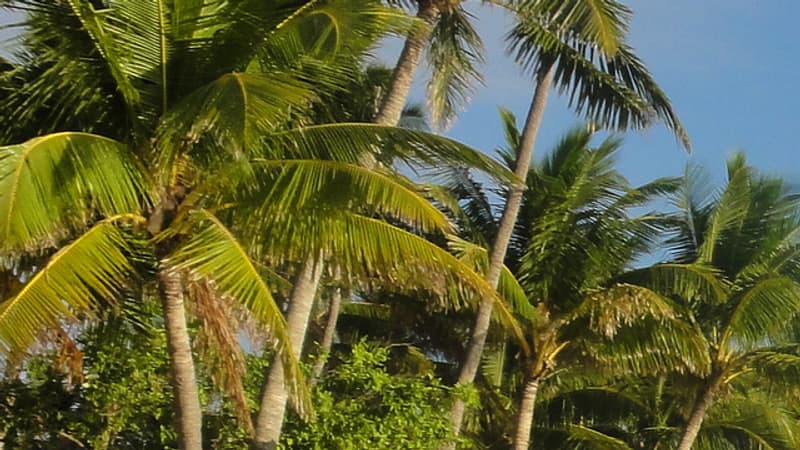 Un Américain reconnu coupable du meurtre de sa femme pendant leur lune de miel dans les îles Fidji