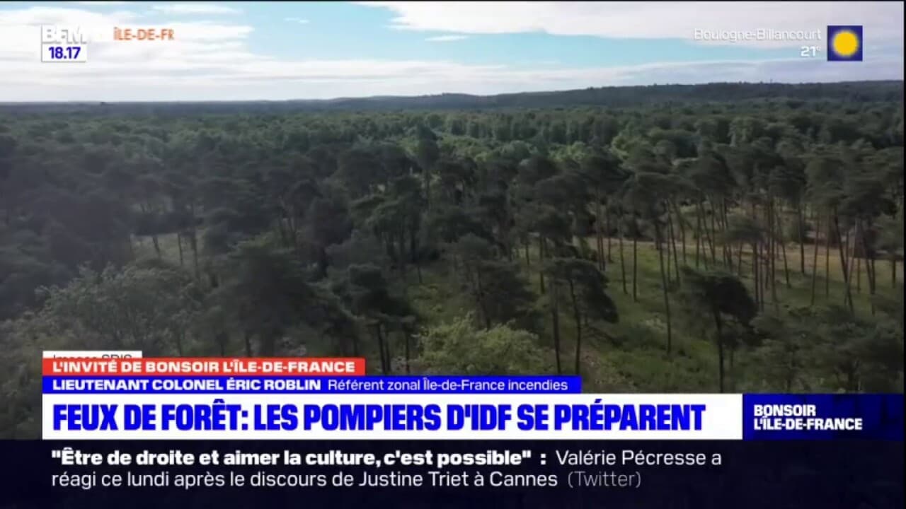 ÎledeFrance déjà trois départs de feu en forêt de Fontainebleau