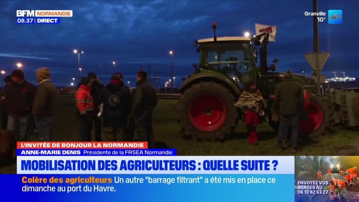 Le Havre, symbole de la contestation agricole en Normandie