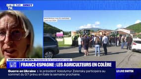 "Nous sommes prisonniers et otages de cette Politique Agricole Commune", estime Véronique Le Floc'h, présidente de la coordination rurale