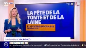 Ile-de-France Découverte: vos idées d'activités culturelles pour ce week-end