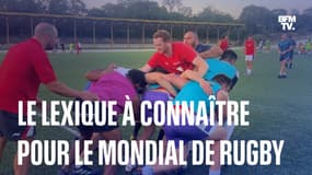 Chandelle, maul, ruck…que veulent dire ces mots que vous allez beaucoup entendre pendant le Mondial de rugby?  