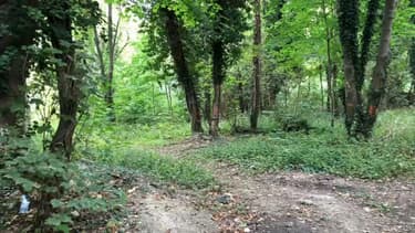 Le déboisement a commencé à Romainville.