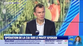 Le monde qui bouge - L'Interview : La culture du pavot a chuté en Afghanistan - 19/11