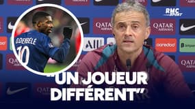 PSG : "Dembélé a toujours été différent", les éloges de Luis Enrique