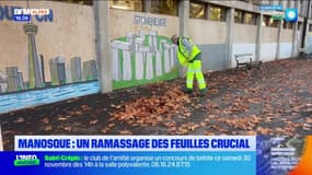 "Un travail très chronophage": le ramassage des feuilles d'automne a commencé à Manosque