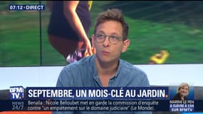 Septembre, un mois-clé au jardin