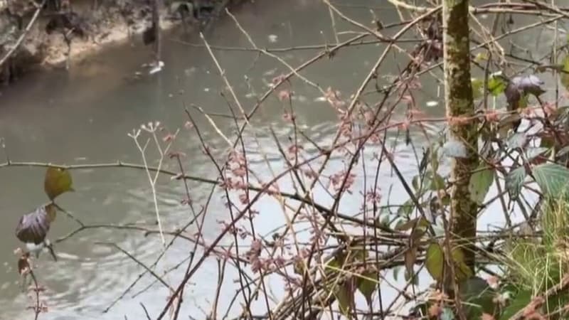 Vallée de Chevreuse: le Rhodon pollué, l'accès restreint