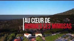 Au Cœur de Bormes les Mimosas