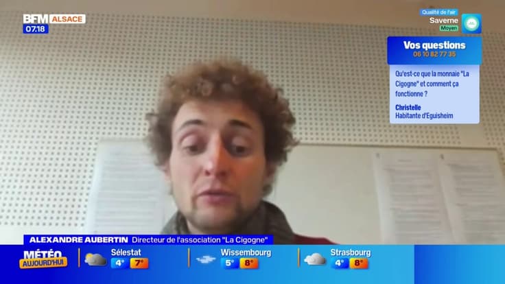 BFM Alsace et vous: la Cigogne, une monnaie locale du Haut-Rhin