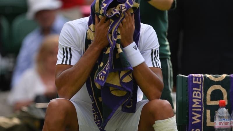 Jo-Wilfried Tsonga
