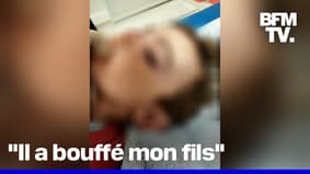 Un enfant de deux ans attaqué par un rat dans une résidence infestée par les rongeurs au Havre