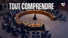 Le Conseil de sécurité de l'ONU.