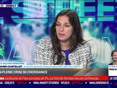 Sommet BFM Patrimoine : L'ISR en pleine crise de croissance - 28/09